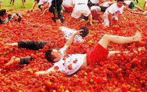 2428793b / Spain - Tomatina Festival