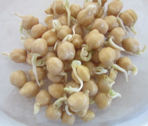 139-Sprouted-chickpeas