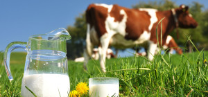 Benefits-Of-Cow-Milk-According-To-Ayurveda0