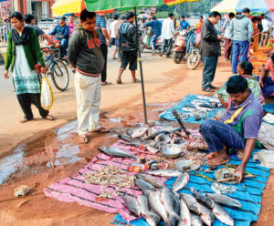 bbsr fish market