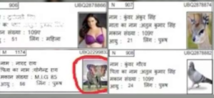 Sunny Leone, Elephant, Pigeon: Voter List In East UP